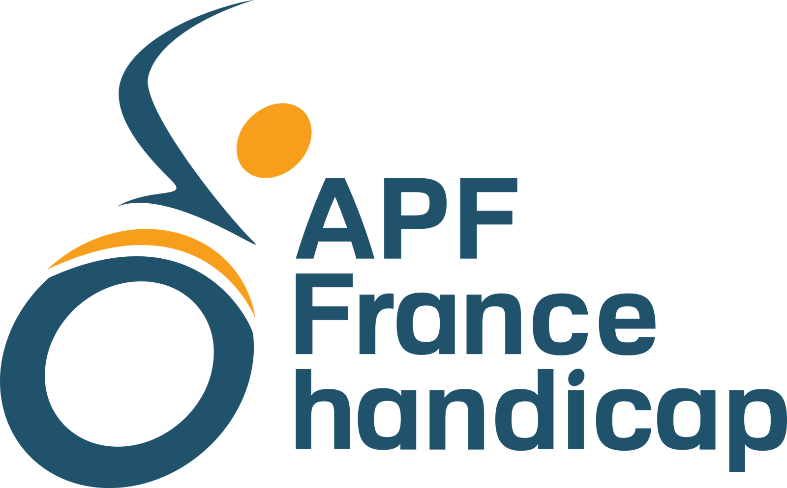 APF-France-handicap